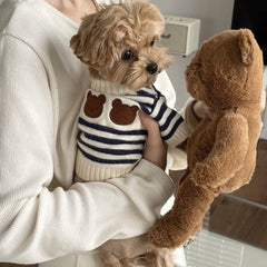 Pull chaud tricoté pour animaux, style coréen, automne et hiver