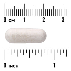 Betaine HCl Hydrochloric Acid with VegPeptase