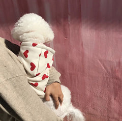 Pull chaud et mignon imprimé avec des cœurs pour animal de compagnie