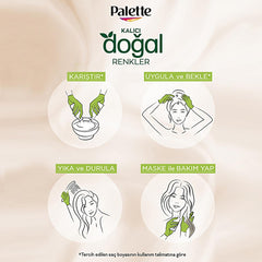 Palette Natural Light Blonde Hair Dye 10-0 - Permanent, Natural Ingredients Enriched Formula