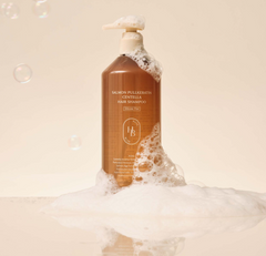 HEVEBLUE Salmon Pullkeratin Centella Hair Shampoo 500ml
