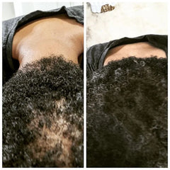 Rose & Rosemary Hydrosol: Botanical Hair, Beard, and Body Mist (8oz)