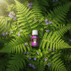 Mélange d’huiles essentielles Release Young Living 15ml