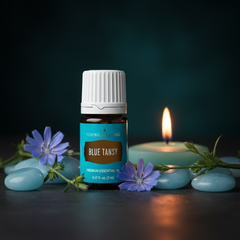 Huile essentielle premium de tanaisie bleue Young Living | 5 mL