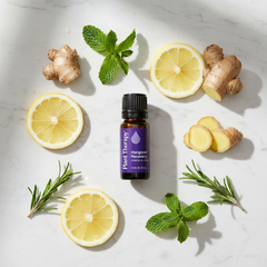 Mélange d’huiles essentielles Hangover Recovery Plant Therapy 10ml