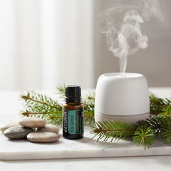 Mélange d’huiles essentielles doTERRA Balance Grounding 15mL