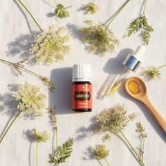 Huile essentielle de graines de carotte 5ml Soins de la peau et aromathérapie