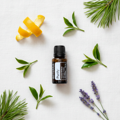 Mélange d’huiles essentielles Purify doTERRA – 15 mL