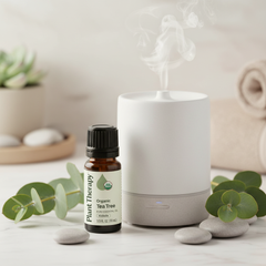 Huile essentielle pure d’arbre à thé biologique Plant Therapy – KidSafe, 10 mL