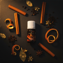 Mélange d’huiles essentielles Light the Fire 5ml 100% pur premium Aromathérapie énergisante
