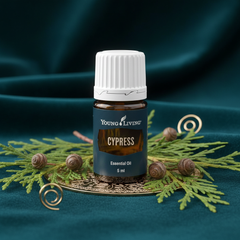 Young Living Cyprès – Huile essentielle – 100 % pure (5 ml)