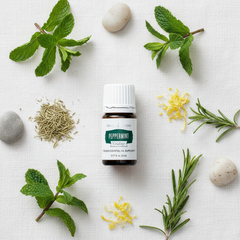 Complément d’huile essentielle de menthe poivrée Vitality Young Living 5ml