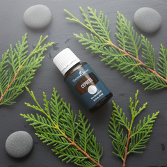 Young Living Cypress Essential Oil 15ml