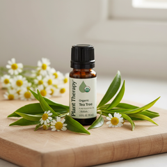Huile essentielle pure d’arbre à thé biologique Plant Therapy – KidSafe, 10 mL