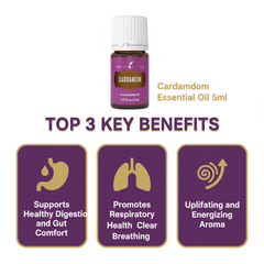 Huile essentielle de cardamome 5ml pure premium pour la digestion et le bien-être, aromathérapie