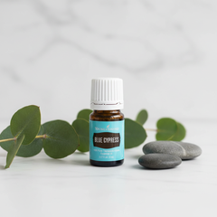 Huile essentielle de cyprès bleu Young Living 5ml
