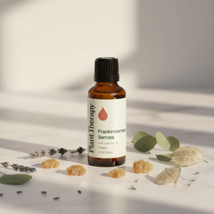 Plant Therapy Frankincense Serrata Pure Essential Oil KidSafe 30ml