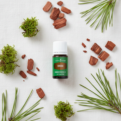 Huile essentielle de hinoki Young Living 5ml Ancrage, purification et aromathérapie boisée