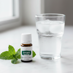 Complément d’huile essentielle de menthe poivrée Vitality Young Living 5ml