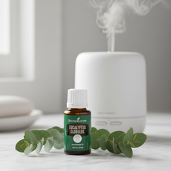 Huile essentielle d’eucalyptus globulus Young Living 15ml