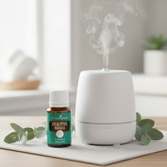 Young Living Eucalyptus Radiata Essential Oil — 15ml | Respiratory Support, Immune Boost & Pure Aromatherapy