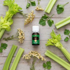 Mezcla de aceites esenciales GLF™ de Young Living — 15ml | Apoyo para la limpieza del hígado y la vesícula biliar