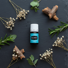 Huile essentielle de cyprès bleu Young Living 5ml