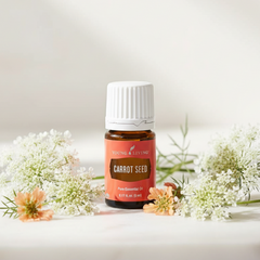 Huile essentielle de graines de carotte 5ml Soins de la peau et aromathérapie