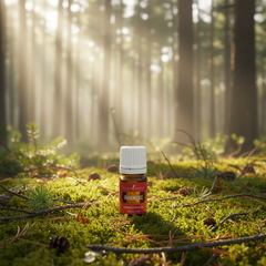 Young Living Frankincense Premium Essential Oil – 100% Pure (5 ml)