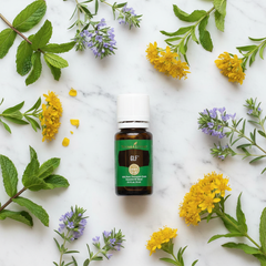 Mezcla de aceites esenciales GLF™ de Young Living — 15ml | Apoyo para la limpieza del hígado y la vesícula biliar