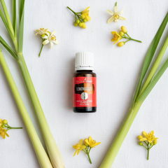 Huile essentielle de citronnelle Young Living 15ml