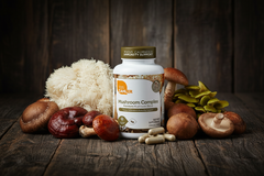 Zahler Mushroom Complex™ – Premium 7-Mushroom Blend | Focus, Calmness & Immunity Support | 60 Capsules