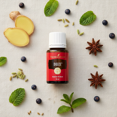 Mélange d’huiles essentielles DiGize Young Living 15ml | Soutien digestif