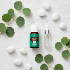 Young Living Eucalyptus Radiata Essential Oil — 15ml | Respiratory Support, Immune Boost & Pure Aromatherapy