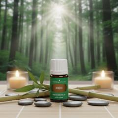 Huile essentielle de hinoki Young Living 5ml Ancrage, purification et aromathérapie boisée