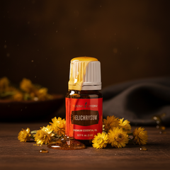 Huile essentielle premium d’hélichryse Young Living 5 mL