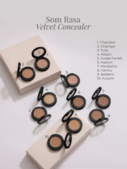 Forest Essentials Som Rasa Velvet Concealer Champa