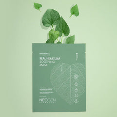 NEOGEN Dermalogy Real Heartleaf Soothing Mask 37g X 5ea