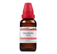 Dr. Willmar Schwabe India Calculi Renales Dilution