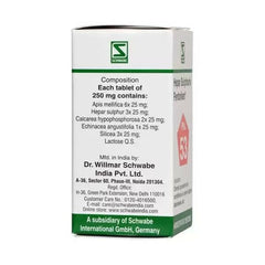 Comprimés Hepar Sulphuris Pentarkan Ptk 53 Dr. Willmar Schwabe India