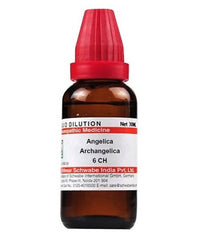 Dr. Willmar Schwabe India Angelica Archangelica Dilution